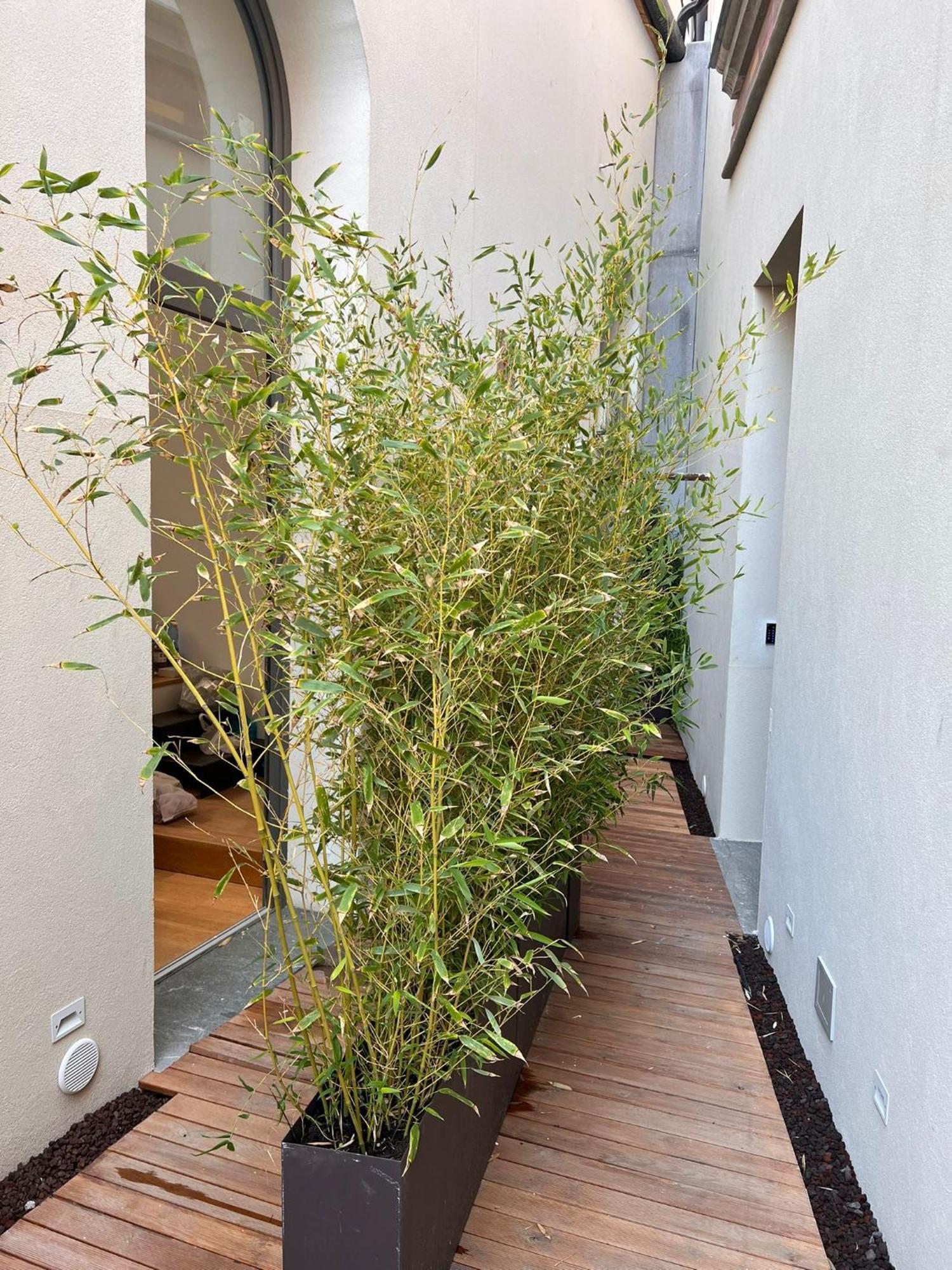 Spasimo Hotellerie باليرمو المظهر الخارجي الصورة